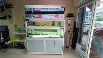 Laser บางแค - งานล้าง 100% ทั้งตู้ปลามังกรแดงและตู้ปลามังกรทอง + เพิ่มปั๊มลม + เปลี่ยนคาร์บอน Set 1