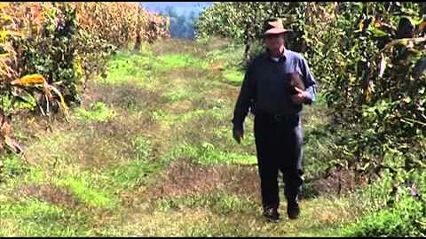 Angus Buchan Documentary