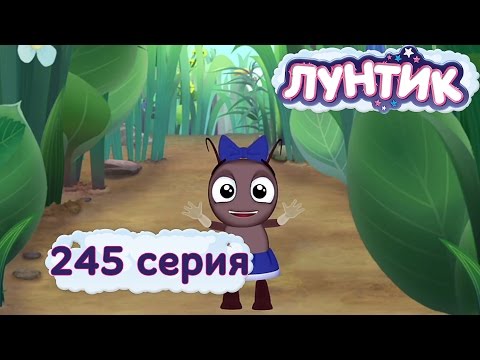 Лунтик и его друзья - 245 серия. Потеряшка