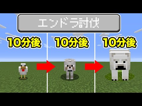 ランダムでモブに変身する世界でエンドラRTA【マイクラJava1.16.1】