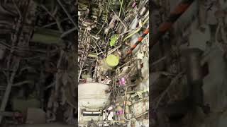 Bmw Daviklių Keitimas