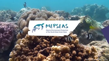 Teaser on the Second High Level Regional Meeting of the MEPSEAS Project