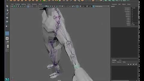 Rigging 1: Skeleton