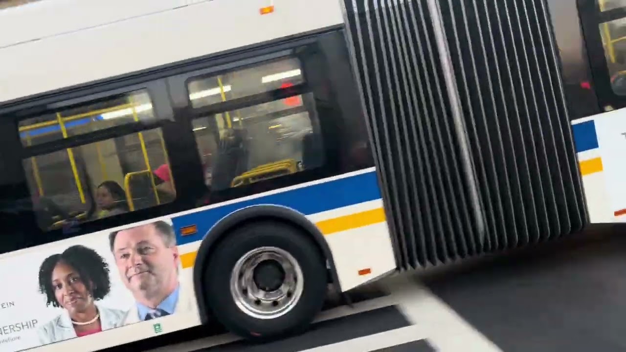 BEE-LINE BUS ACTION 2009 NABI 40S LFW & New Flyer XDE40S & New Flyer XDE60S & New Flyer XDE35 Routes