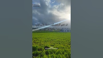 آيات خاشعة من سورة ق|الشيخ ماهر المعيقلي|حالات قران واتساب|ايدون اربد الاردن