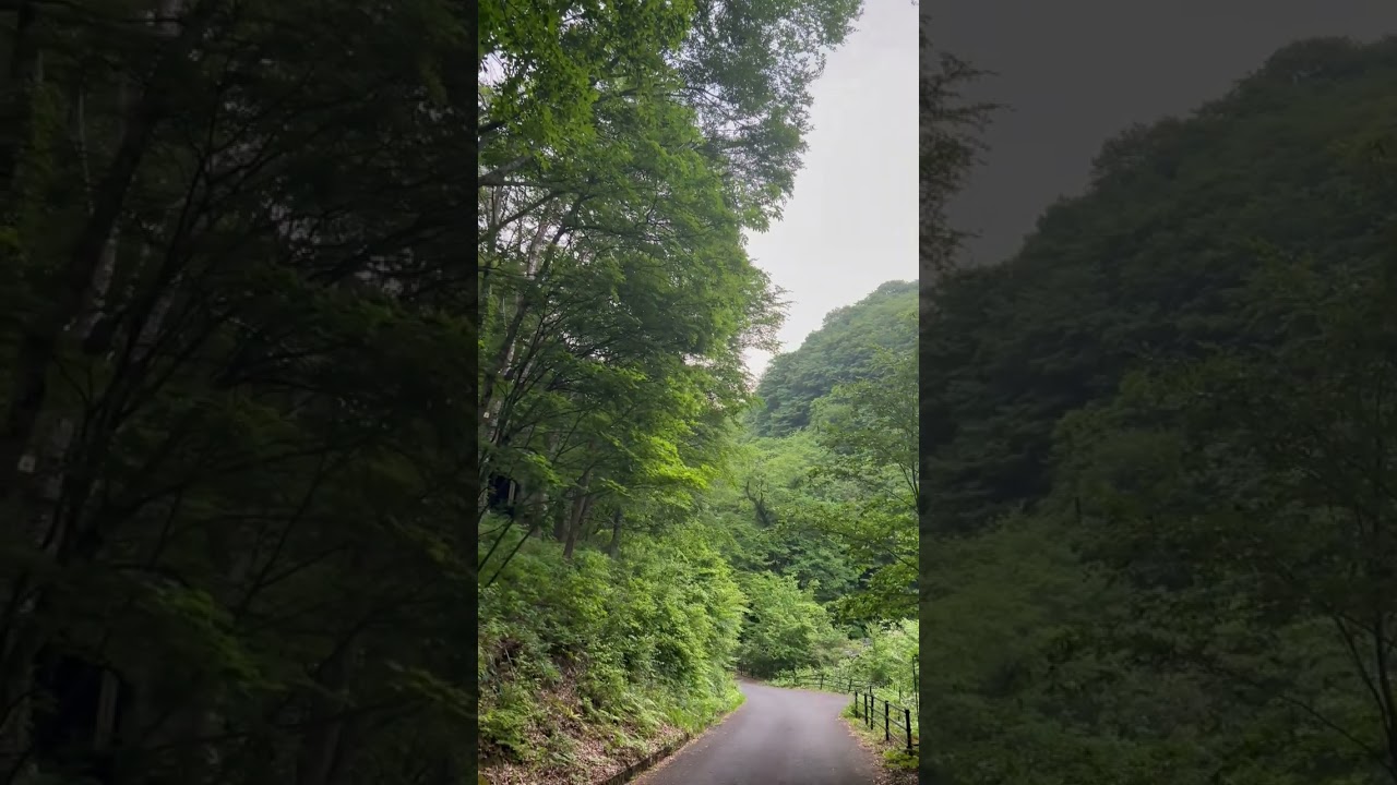 0523 朝 5:52 定時の4:30は静かでも