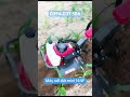 Máy xới đất mini 144F.