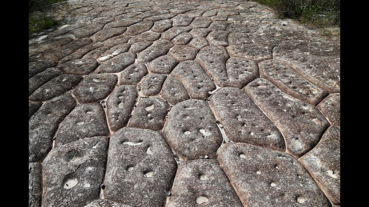 Ku-ring-gai Chase National Park