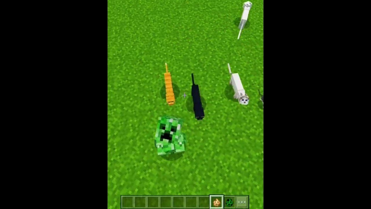 Minecraft will creeper scared of cat YouTube