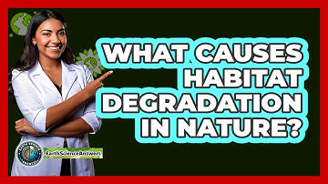 What Causes Habitat Degradation In Nature? - Earth Science Answers