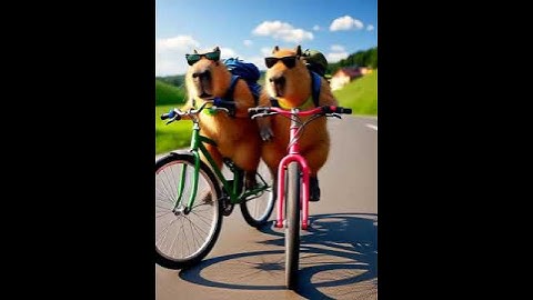 Capybara tập thể dục #wildlife #dongvat #animals #dongvatkythu109 #capybara #chuộtlang