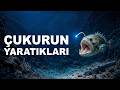 Mariana Çukuru’nun En TÜYLER ÜRPERTİCİ 12 Keşfi