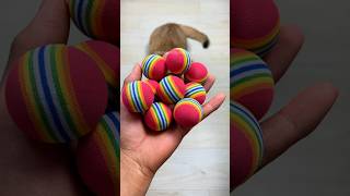 Download Lagu Rainbow ball 🌈🌈Funny Cat Reverse Video #catvideos #cat #relievestress #reversevideos #satisfying MP3