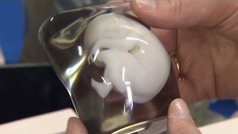 China unveils its first 3-D bio printer