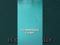 Prevent Pool Clogs! Backwash Your Filter Today & Keep Your Pool Crystal Clear 🏊‍♂️