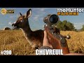 Thehunter cotw gameplay 200 une chasse aux chevreuils sur cuatro colinas  chasse 2023