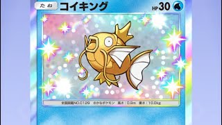金のコイキングって所持してると金運が爆上がりするんだよね
