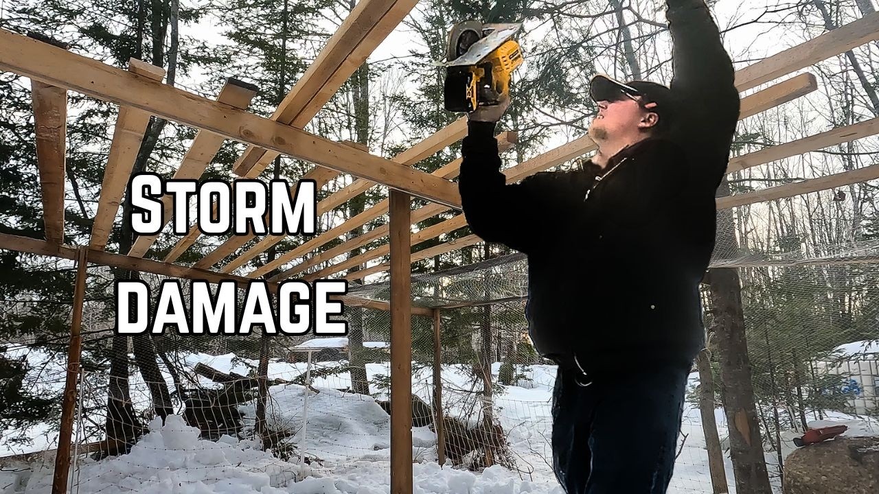 The Storm Destroyed Our Turkey Run... So We Rebuilt It