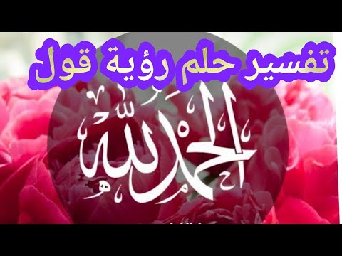 تفسير حلم رؤية قول الحمد لله في المنام تفسير حلم من قال الحمدلله في منام شنو تفسير حلم قول الحمد لله 