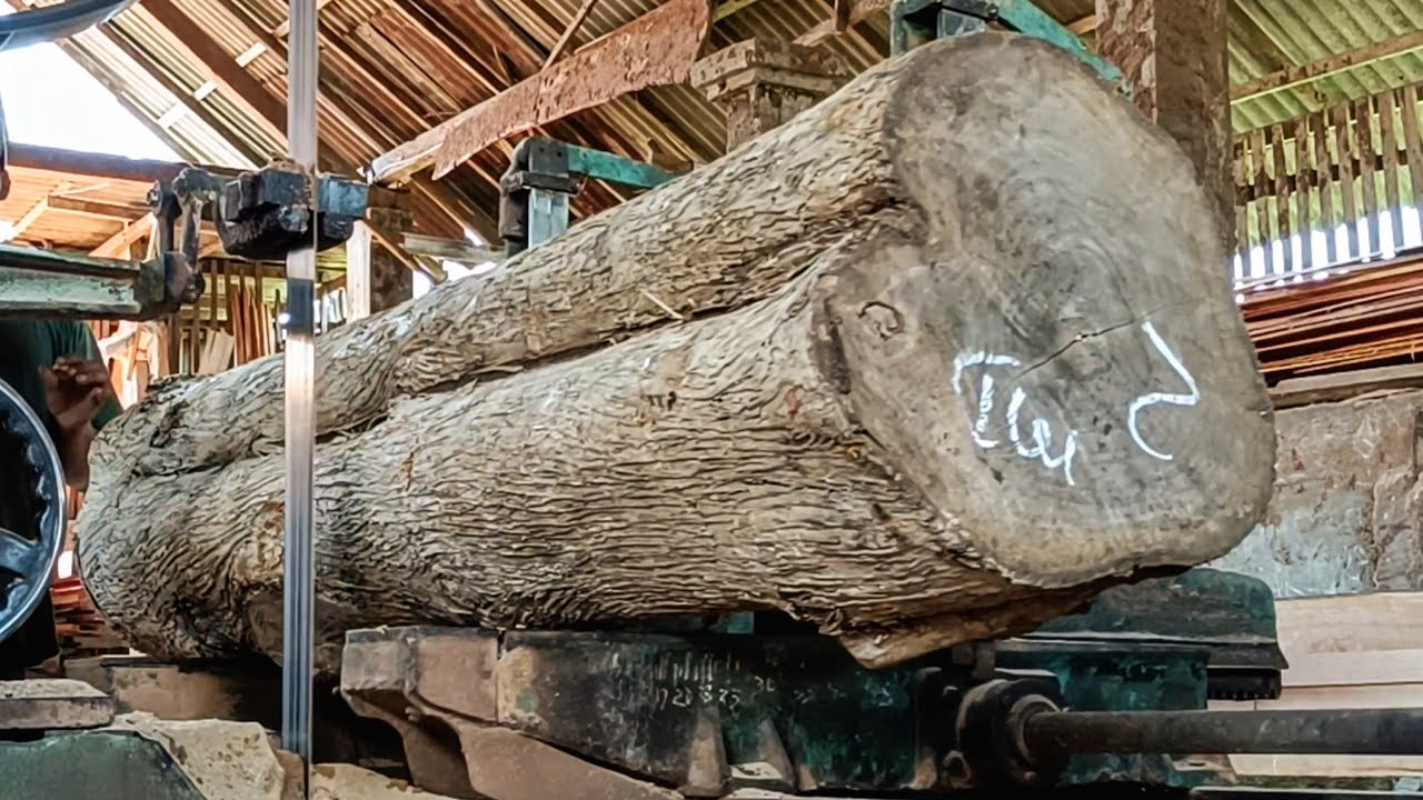 This is the process of sawing teak wood for luxury furniture - YouTube