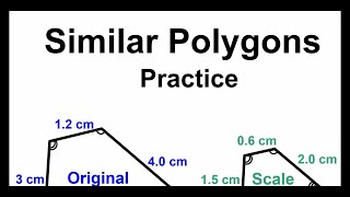 Similarity 13 - Similar Polygons - Practice
