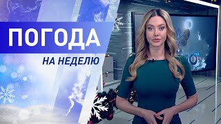 Погода на неделю 9 – 15 января 2023. Прогноз погоды. Беларусь | Метеогид