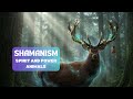 Spirit Animals Explained: How to Read the Signs & Synchronicities