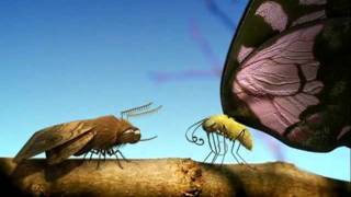 Minuscule, Sweet Sweet Moth