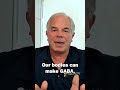 Why GABA Calms Your Nerves 