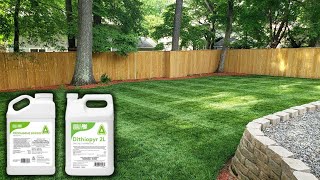 How To Pick The RIGHT Pre-emergent For Your Lawn