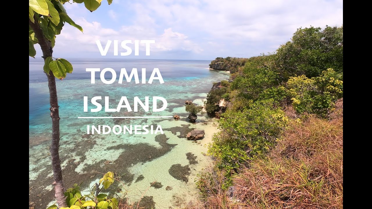 Visit Tomia Island