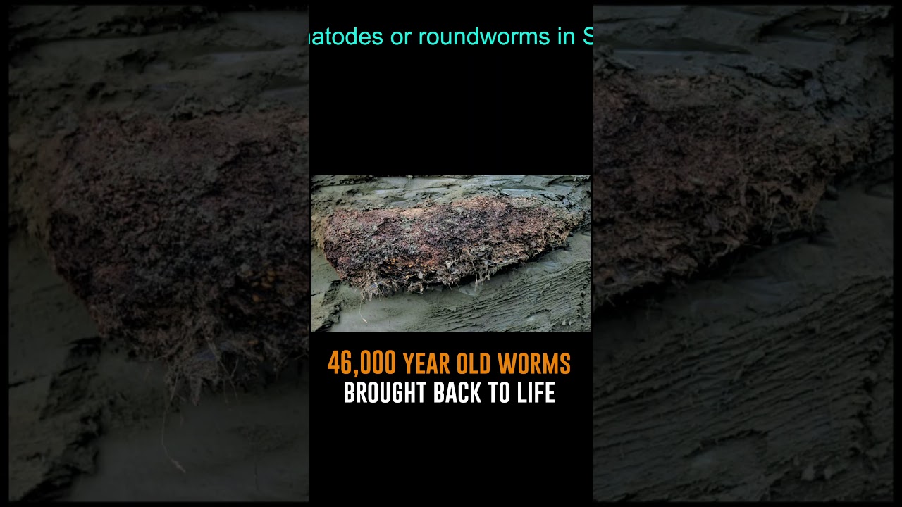 46,000 year-old worms brought back to life 