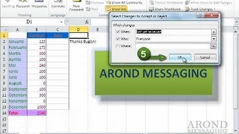 Using Excel 2010 - Accept or Reject Workbook Changes