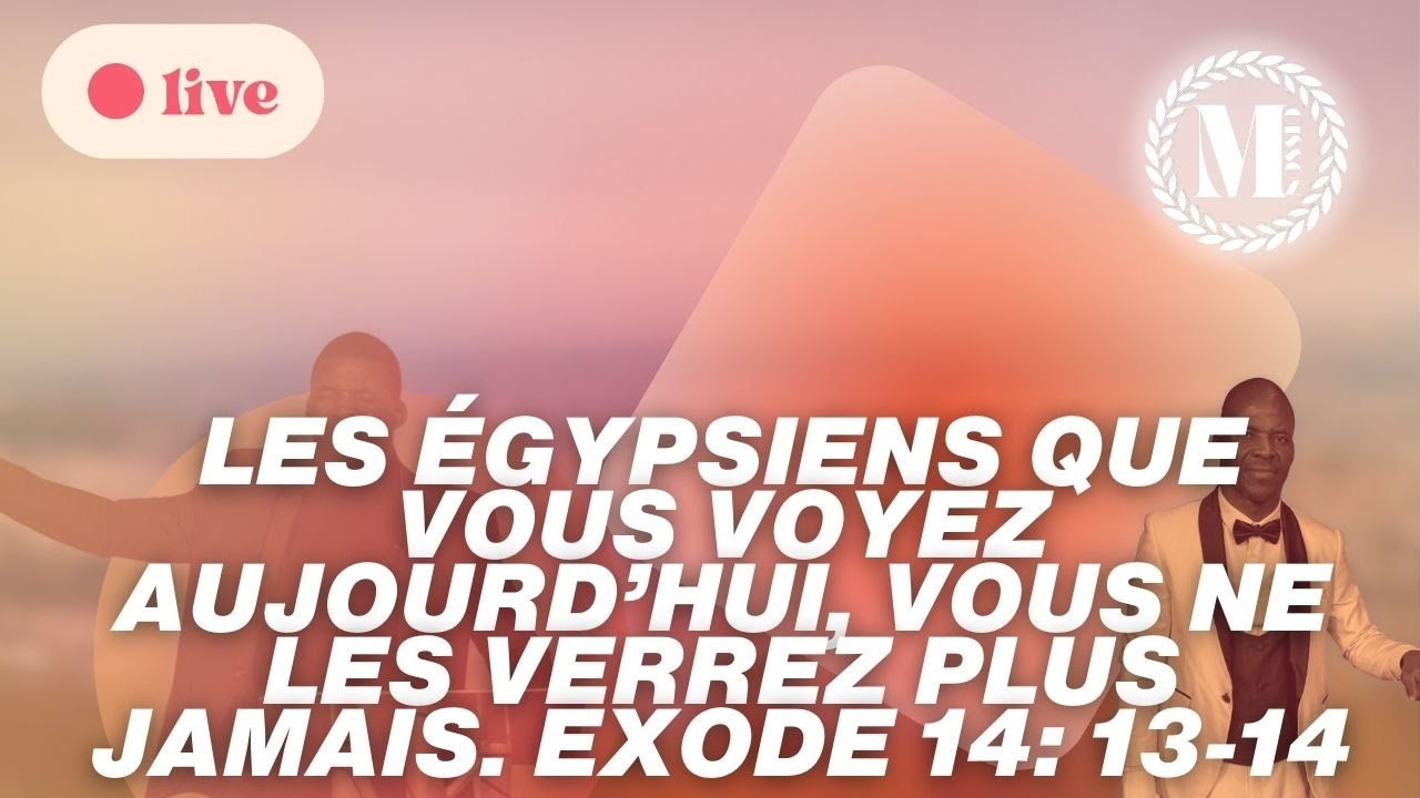 Les Egyptiens Que Vous Voyez Vous Ne Les Verrez Plus