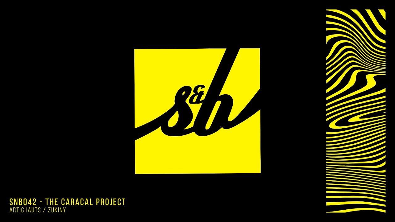 The Caracal Project - Zukiny