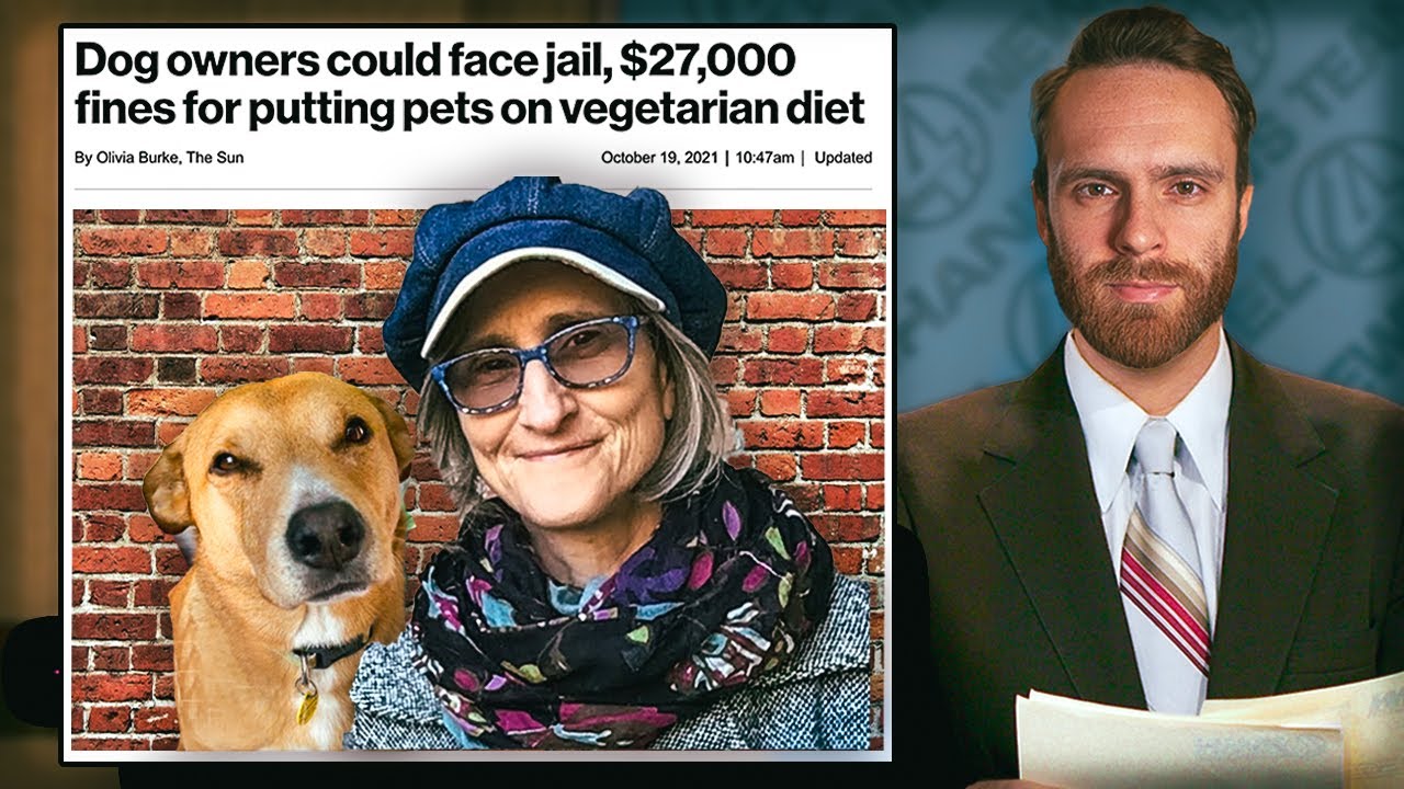 That Vegan Teacher Should Be In JAIL For Making Her Dog Vegan YouTube