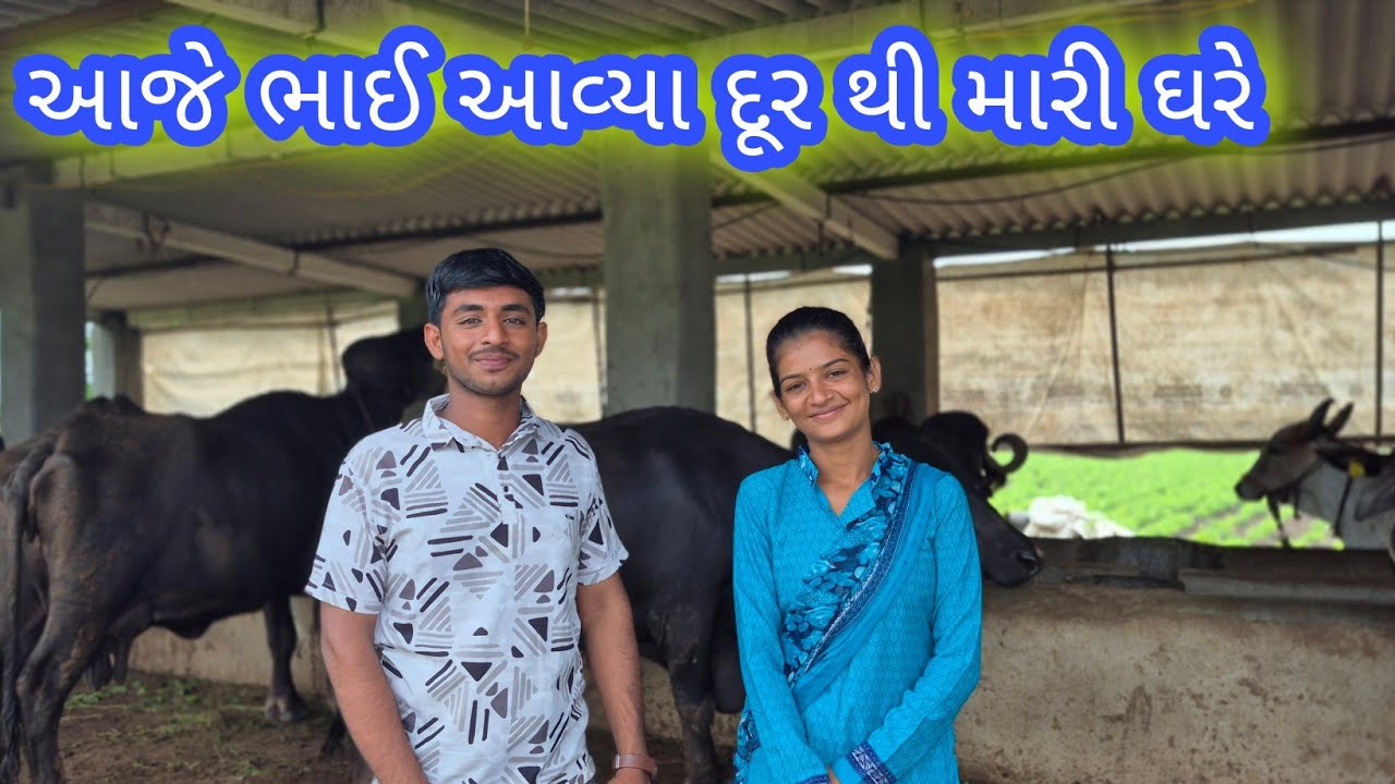 આજે ભાઈ આવ્યા દૂર થી મારી ઘરે #dk_life 
