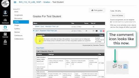 Viewing instructor feedback on Canvas for students