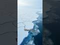 5 प्रमुख महासागर  एक त्वरित अवलोकन 5 Major Oceans of the world Fast Facts in 60s | UPSC &amp; NCERT Geo
