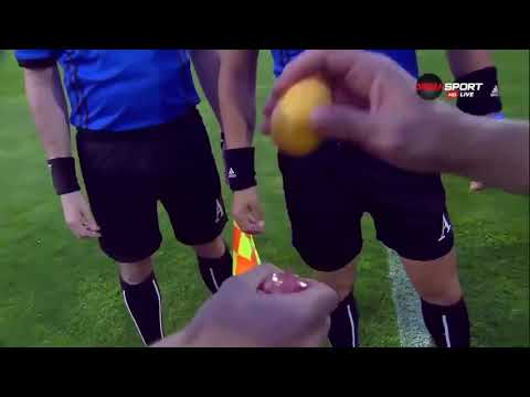 მონეტა კვერცხებით შეცვალეს