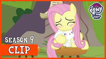 Fluttershy and Angel Return to Their Original Bodies (She Talks to Angel) | MLP: FiM [HD]