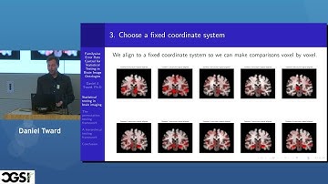 Daniel Tward | Familywise Error Rate Control for Statistical Testing in Brain Image Ontologies