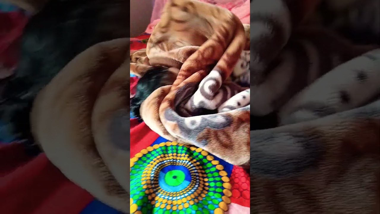 10 month baby 💞 activities 