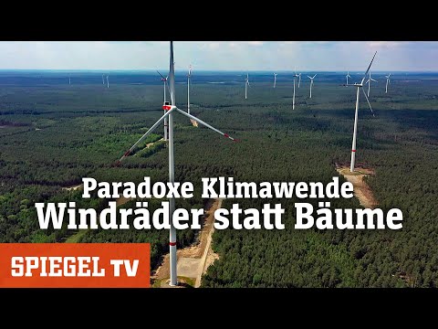 Video: Fahren niederländische Züge mit Windkraft?