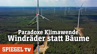 Paradoxe Klimawende: Windräder statt Bäume | SPIEGEL TV