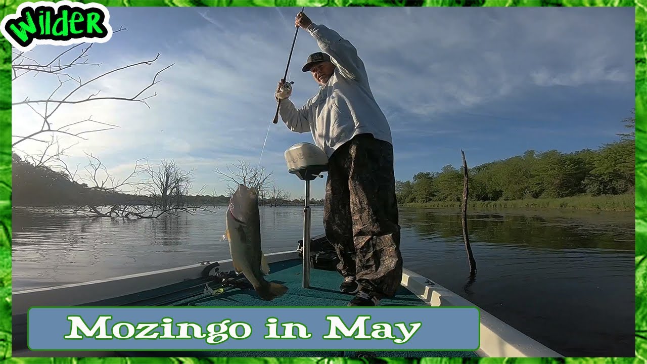 Mozingo Bass Fishing 2025