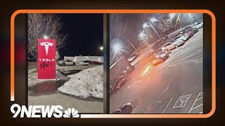 Despite being labeled a 'domestic terrorist,' Tesla vandalism suspect granted travel requests