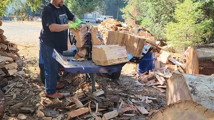 Wolfe Ridge Devours Large Douglas Fir Rounds