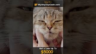 Instant Approval Payday Loans Online 2023: No Credit Check, Bad Credit Loans Guaranteed Approval