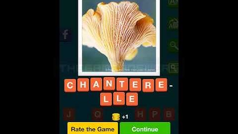 Zoom In Food Level 251-260 Answers